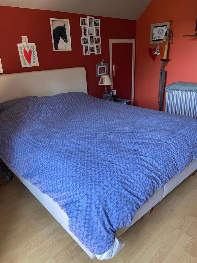 Chambres Chez Nanou Avec Petit Dejeuner Chimay Eksteriør billede